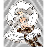 Brand Catalog-ZX 1213